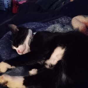 Meet your Posher, Ann